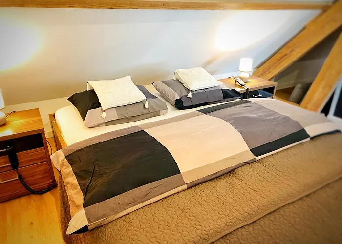 De Muldermolen Appartement *