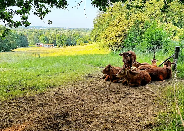 De Muldermolen Apartamento Schinnen