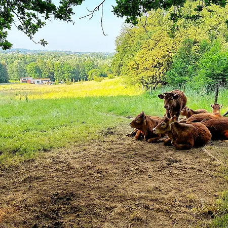 De Muldermolen Апартаменты Schinnen
